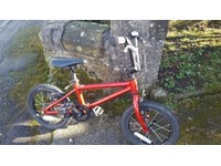 raleigh performance 14